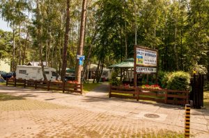 pole campingowe gdansk